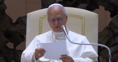 El Papa destacó la importancia del rol de los profesores de Religión