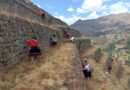 Pobladores de Cusco hacen mantenimiento a los andenes inca en Písac