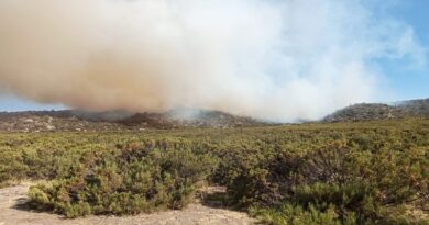 Situación climática reavivó incendio en sector de Sóndor en Caravelí