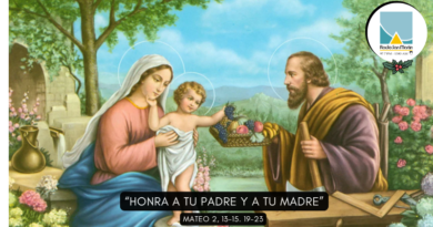 Domingo 28 de diciembre 2025 – Homilía La Sagrada Familia – Año litúrgico 2025-2026 – (Ciclo A)