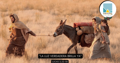 Lunes 29 de diciembre 2025 – Octava de Navidad – Año litúrgico 2025-2026.  (Ciclo A)