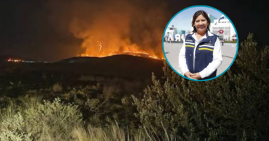 Por segundo día los incendios forestales buscan ser controlados