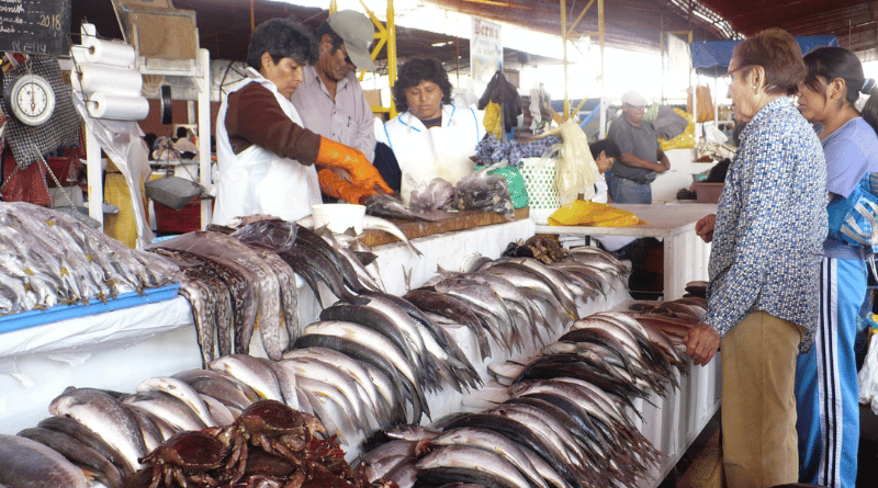 Ingreso de pescado cae hasta en 80 %, pero terminal de Río Seco garantiza abastecimiento y precios accesibles