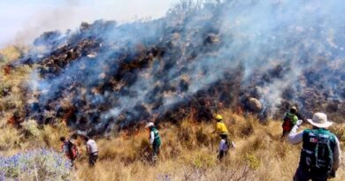 SERFOR intensifica campañas de prevención ante temporada de incendios forestales en Arequipa