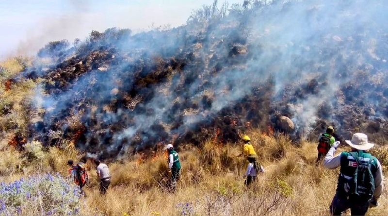 SERFOR intensifica campañas de prevención ante temporada de incendios forestales en Arequipa