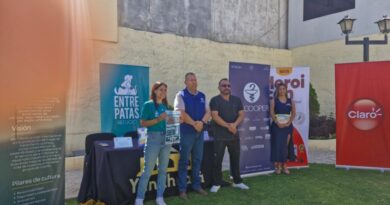 Yanahuara realizará la Mascotatón 2026 para promover la convivencia responsable con los animales Yanahuara realizará la Mascotatón 2026 para promover la convivencia responsable con los animales