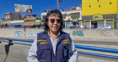 Municipalidad realizará limpiezas periódicas en la plataforma Andrés Avelino Cáceres