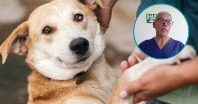 Canil Municipal impulsa campaña de adopción de perritos Canil Municipal impulsa campaña de adopción de perritos