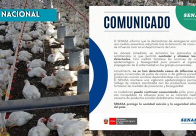 Gobierno declara emergencia sanitaria nacional por brote de gripe aviar en aves de corral Gobierno declara emergencia sanitaria nacional por brote de gripe aviar en aves de corral