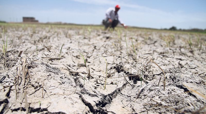 Declaran en emergencia 45 distritos de Arequipa por déficit hídrico, pero no habrá presupuesto adicional