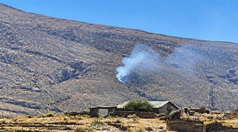 Registran incendio forestal en el distrito de Chiguata Registran incendio forestal en el distrito de Chiguata