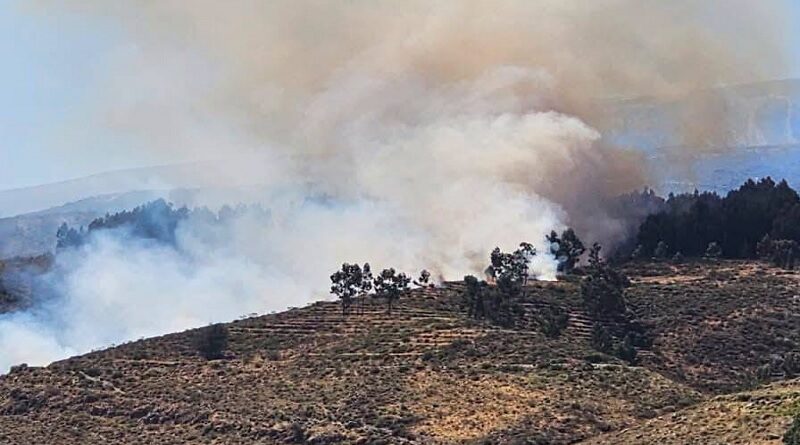 El COER Arequipa registró un incendio forestal en Chiguata