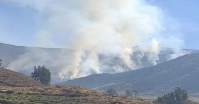 Coordinan acciones frente a incendio forestal registrado en Pampacolca Coordinan acciones frente a incendio forestal registrado en Pampacolca