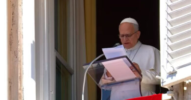 Papa León XIV: “el perdón es indispensable, sin él no se puede vivir en paz”.