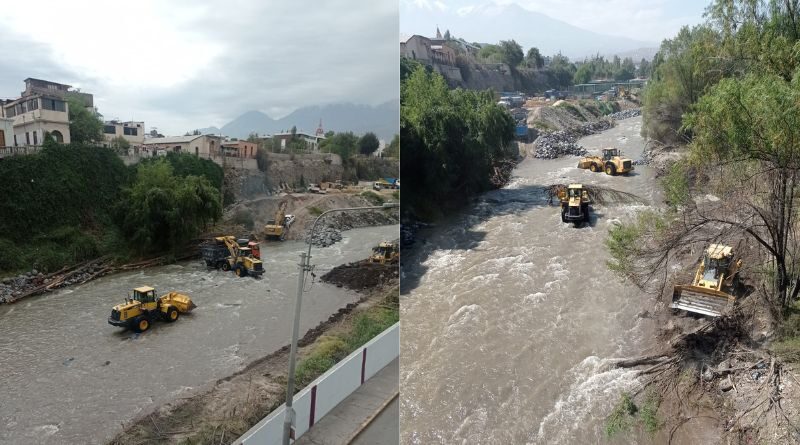 Municipalidad de Arequipa retira árboles del río Chili durante trabajos de descolmatación