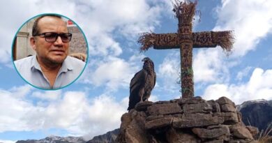 SERFOR evalúa si incendios alteraron hábitat de cóndor juvenil en el Colca SERFOR evalúa si incendios alteraron hábitat de cóndor juvenil en el Colca