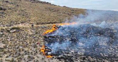 Alcanzan 85 % de control del incendio forestal en el distrito de Toro