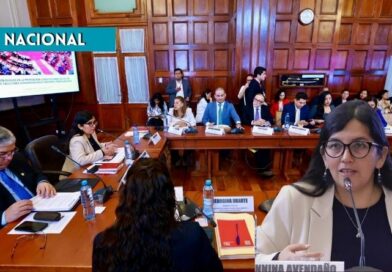 La presidenta de la Comisión de Constitución, Gianinna Avendaño cuestiona proyecto de delegación de facultades presentado por el Ejecutivo La presidenta de la Comisión de Constitución, Gianinna Avendaño cuestiona proyecto de delegación de facultades presentado por el Ejecutivo