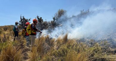 Controlan incendio forestal en Tuctumpaya
