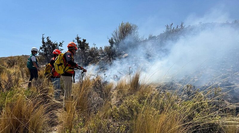 Controlan incendio forestal en Tuctumpaya